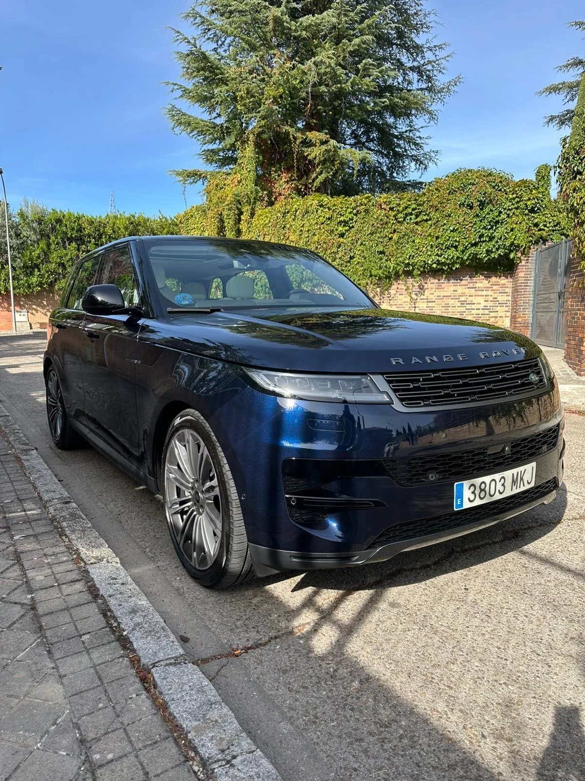 Range Rover Sport D300