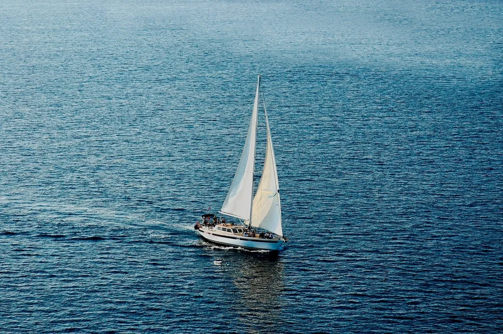 Vela 24